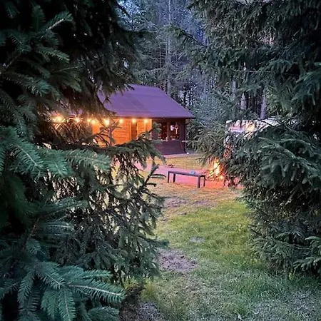 Cozy Camper Surrounded By Forest * Bieszkowice