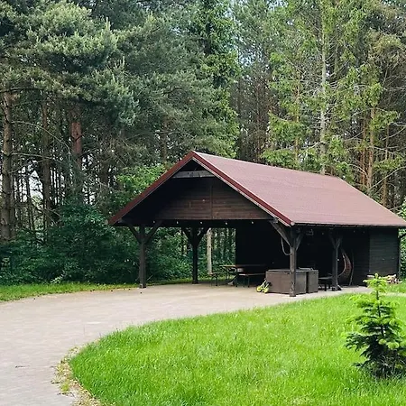 Cozy Camper Surrounded By Forest