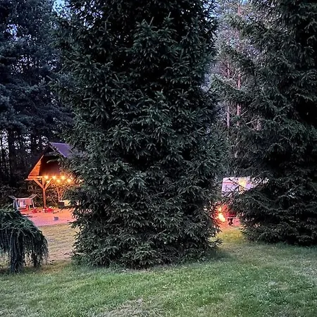 Holiday home Cozy Camper Surrounded By Forest *